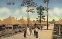 Army Tents at Drew Field Postcard