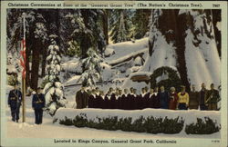 Christmas Ceremonies at base of the "General Grant Tree" Postcard