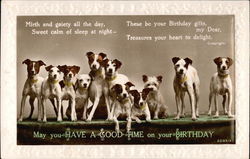 May you Have a Good Time on Your Birthday Postcard Postcard