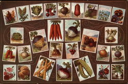 Vegetable and Flowers Illustrated on Cards Vegetables Postcard Postcard