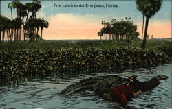 Free Lunch in the Everglades, Florida Snakes & Reptiles Postcard Postcard