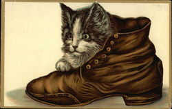 Kitten in a Boot Postcard