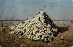 Crows on a Pile of Skulls Death Postcard Postcard