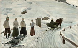 Horse-Drawn Sleigh in the Snow with a Man and Four women Postcard