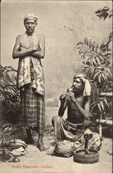 Snake Charmers, Ceylon (Sri Lanka) Postcard Postcard