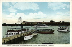 Royal Poinciana from West Palm Beach, Palm Beach, Florida Postcard