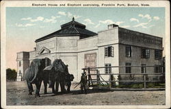 Elephant House and Elephant Exercising, Franklin Park, Boston, Mass Postcard