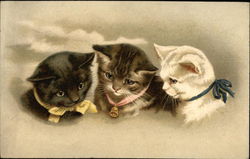 Three Kittens with Yellow, Pink and Blue Ribbons Postcard