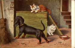 A Black Dachshund and Two Kittens Playing Postcard