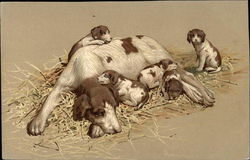 Brown & White Spotted Dog with Five Puppies Postcard