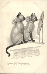 Siamese Cats Looking in Mirror Postcard Postcard