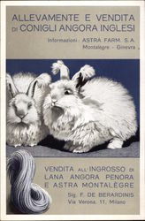 Allevamente e Vendita di Conigli Angora Inglesi Advertising Postcard Postcard