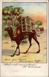 Kar-a-van Coffee - Camel Advertising Postcard Postcard