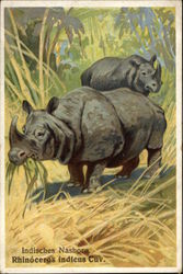 Indisches Nashora Rhinocerus indicus Cuv. Advertising Trade Card Trade Card Trade Card