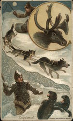 Man on Sled Pulled by Dogs, Fighting Seals Hunting Trade Card Trade Card Trade Card