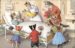 Cats Dressed in Clothing in New Mother Cat's Hospital Room Postcard Postcard