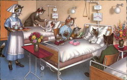 Cat Family Visits Kitten in the Hospital Postcard