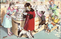 Cats Dressed in Clothing with Poodle on a leash at Card Shop Postcard Postcard