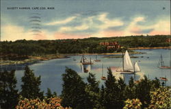 Bird's Eye View of Quisett Harbor Postcard