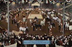 Parade of the Belgians, Dairy Cattle Congress Waterloo, IA Postcard Postcard