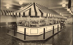 The Beech-Nut Circus on the Boardwalk Atlantic City, NJ Postcard Postcard