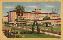 The Ambassador Hotel and Grounds Postcard