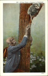 "A Coon Trees A Possum in Dixieland" Black Americana Postcard Postcard