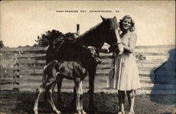 Pony-Penning Day - Young Woman with Horse & Foal Postcard