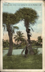 Honey, Come Down, I Am Waiting for You in Florida Postcard