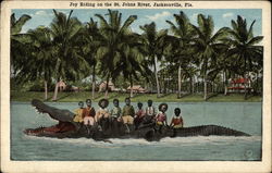 Joy Riding on the St. Johns River Postcard