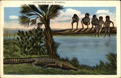 Alligator Bait Florida Postcard Postcard