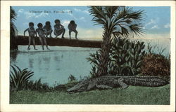 Alligator Bait Florida Postcard Postcard