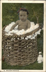 "Southern Products" - a Black Baby sitting in a Basket of Cotton Black Americana Postcard Postcard