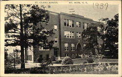 Street View of St. Clair's School & Grounds Postcard