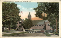 Museum of Natural History Postcard