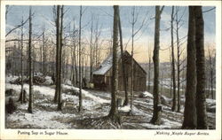 Putting sap in sugar house Vermont Postcard Postcard