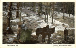 Gathering the Sap, Making Maple Sugar Series Vermont Postcard Postcard