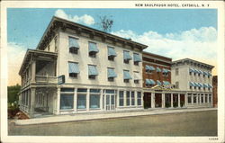 Street View of New Saulpaugh Hotel Catskill, NY Postcard Postcard