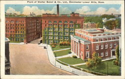 Plant of Walter Baker & Co., Ltd Postcard