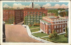 Plant of Walter Baker & Company, Limited Postcard