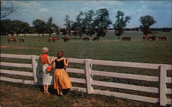 Blue Grass Farm Lexington, KY Postcard Postcard