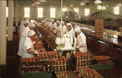 Salmon Canning Production Line Alaska Postcard Postcard