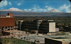 Ciudad Universitaria de Mexico Postcard