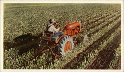 Farmer Riding Allis-Chalmers Tractor Postcard Postcard