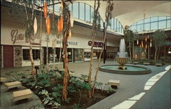 Edgewater Plaza Shopping City Postcard