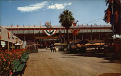 Fresno County Fairgrounds California Postcard Postcard