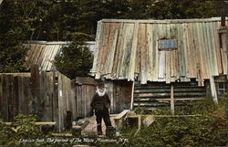 English Jack - The Hermit White Mountains, NH Postcard Postcard