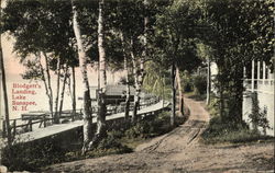 Blodgett's Landing, Lake Sunapee New Hampshire Postcard Postcard