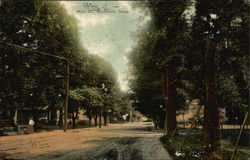 View of Tree Lined Main Street Postcard