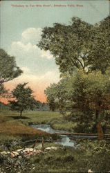 Tributary to Ten Mile River Postcard